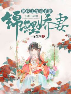 赵锦儿秦慕修封面